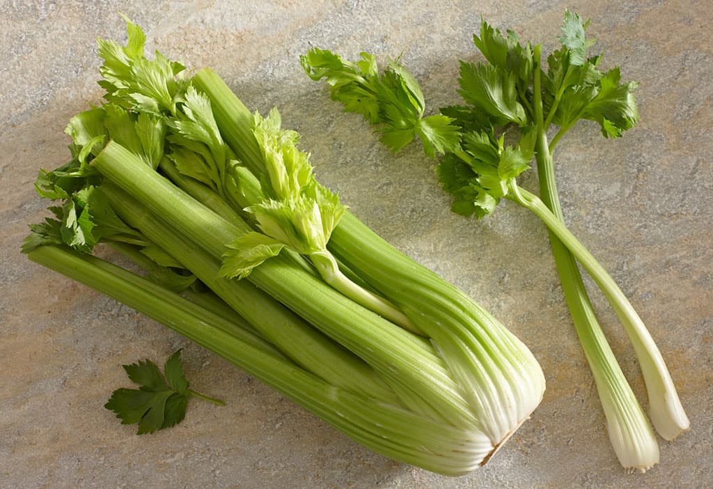 Whole sale fresh celery China